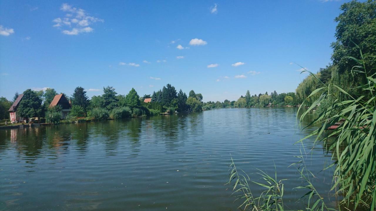 Tobak vendégház Békésszentandrás Exterior foto